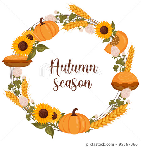 Autumn wreath with wheat, pumpkin and sunflower with space for text. Vector illustration isolated white background. 95567366