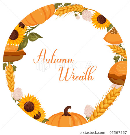 Autumn wreath with wheat, pumpkin and sunflower with space for text. Vector illustration isolated white background. 95567367