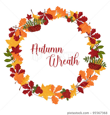 Autumn wreath with maple oak leaves and wild berries with space for text. Vector illustration isolated white background. 95567368