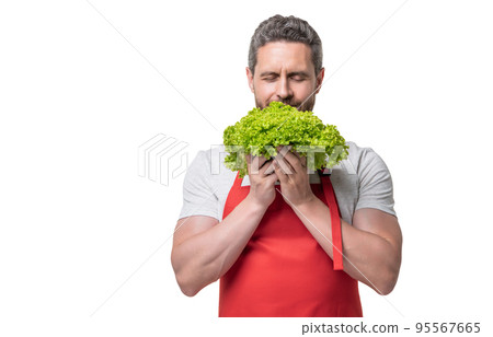 man in apron with lettuce vegetable isolated on white. copy space 95567665