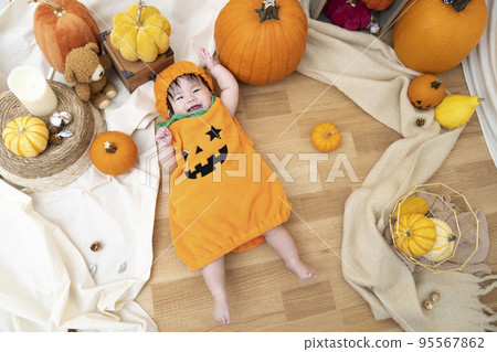 Halloween  95567862