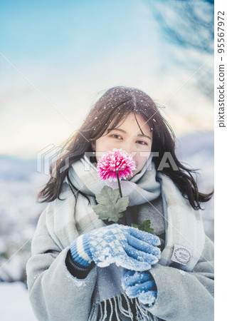 雪和花 95567972