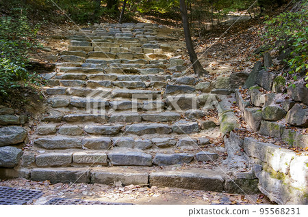 Changdeokgung Palace Outing 95568231