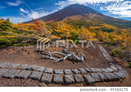 後院的秋葉富士山 95568278
