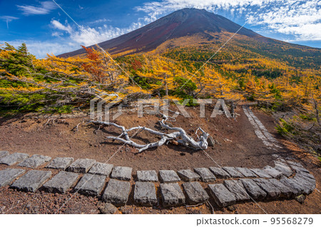 後院的秋葉富士山 95568279