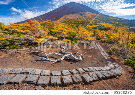 後院的秋葉富士山 95568280