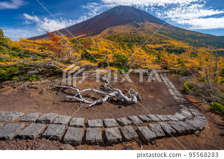 後院的秋葉富士山 95568283