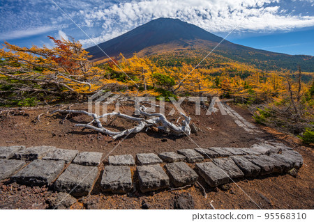 後院的秋葉富士山 95568310