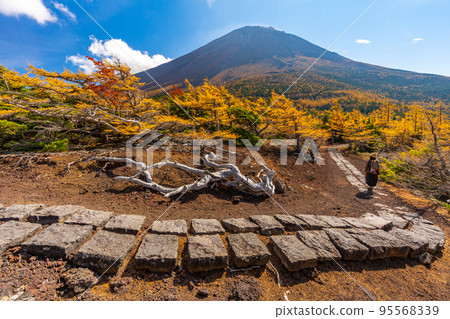 後院的秋葉富士山 95568339