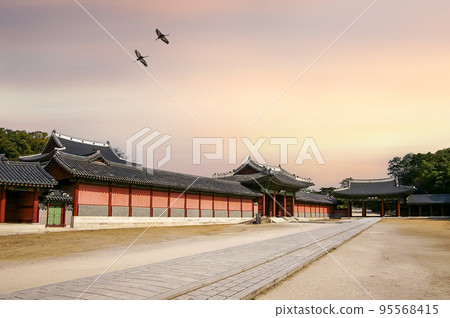 昌德宮郊遊 昌德宮郊遊 95568415