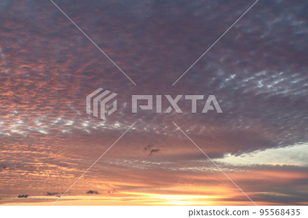 Sunset Sunset 95568435