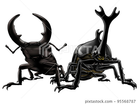 犀牛甲蟲和鍬形甲蟲 95568787