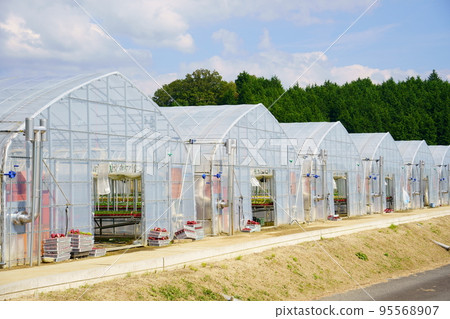 Vinyl greenhouse/agriculture 95568907