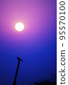 Silhouette of a bird at sunset 95570100
