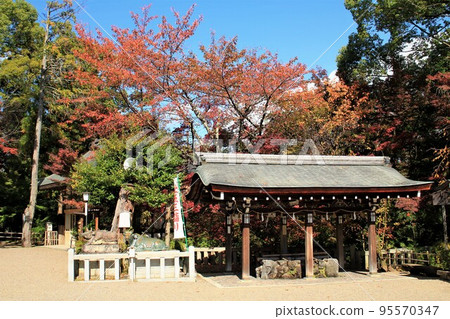 長岡天滿宮的紅葉 95570347