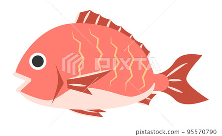 Red snapper Red snapper 95570790