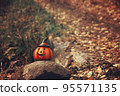 Halloween pumpkin in autumn forest. Seasonal fall scene 95571135