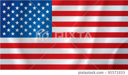 USA flag. Vector drawing icon 95571833