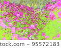 波斯菊秋秋櫻花 95572183