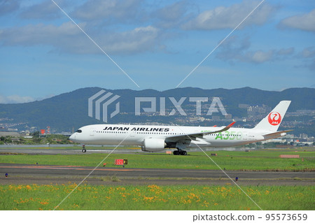 Takeoff and landing at Osaka Itami Airport 95573659