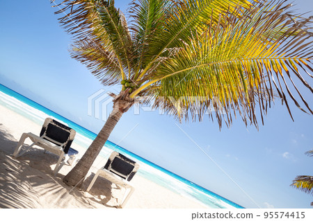 Two beach beds under palm tree on beachfront Two beach beds under palm tree on beachfront 95574415