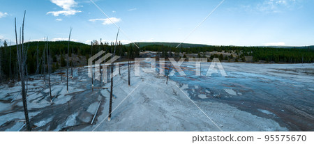 Fountain Paint Pot trail between geyser, boiling mud pools and burnt trees in in Yellowstone National Park in Wyoming 95575670