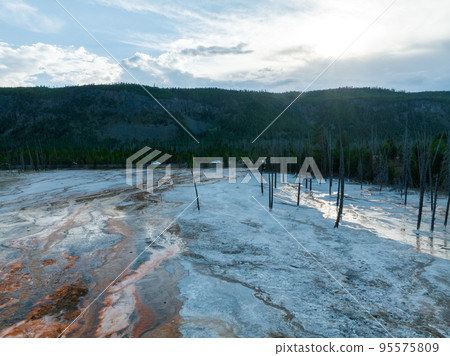 Fountain Paint Pot trail between geyser, boiling mud pools and burnt trees in in Yellowstone National Park in Wyoming 95575809