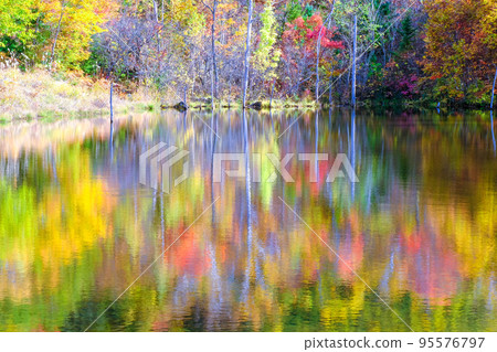 Maime 池塘反射秋葉 95576797