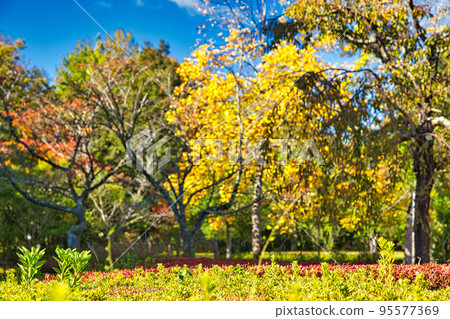 Echizen Ceramics Village-Autumn Echizen Ceramics Village-Autumn 95577369