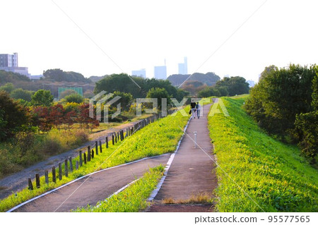 Minuma Rice Fields, a promenade along the Shiba River 95577565