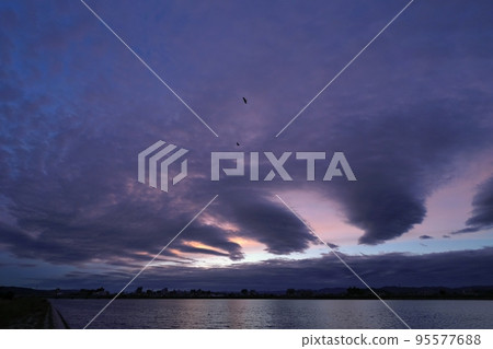 秋季黎明出現神秘的波浪雲天空和鳥類・超廣角・天空為主・221006am 秋季黎明出現神秘的波浪雲天空和鳥類・超廣角・天空為主・221006am 95577688