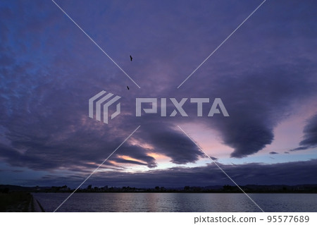 秋季黎明出現神秘的波浪雲天空和鳥類・超廣角・天空為主・221006am 秋季黎明出現神秘的波浪雲天空和鳥類・超廣角・天空為主・221006am 95577689