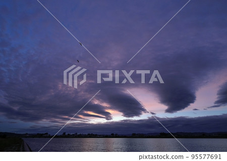 秋季黎明出現神秘的波浪雲天空和鳥類・超廣角・天空為主・221006am 95577691
