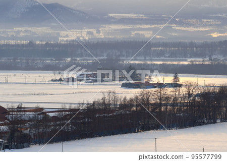 Scenery with farms in the Tokachi region of Hokkaido 95577799