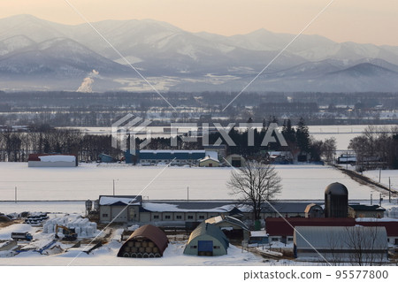 Scenery with farms in the Tokachi region of Hokkaido 95577800