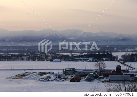 Scenery with farms in the Tokachi region of Hokkaido 95577801