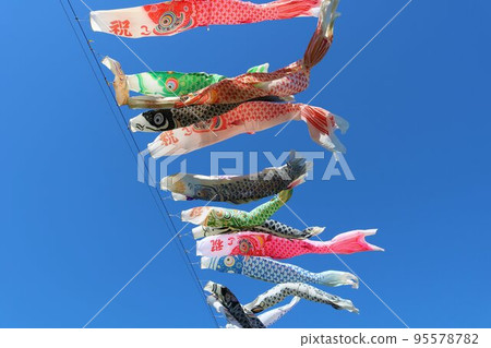 Carp streamers blowing in the wind and swimming in the blue sky Scenery Carp streamers blowing in the wind and swimming in the blue sky Scenery 95578782
