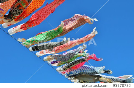 Carp streamers blowing in the wind and swimming in the blue sky Scenery Carp streamers blowing in the wind and swimming in the blue sky Scenery 95578783