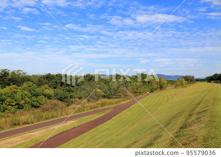 Walk around Flower Park Konan 110 (Kiso Sansen Park Konan City, Aichi Prefecture) 95579036