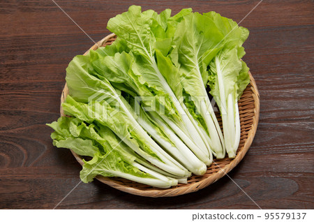 Shandongbi 95579137