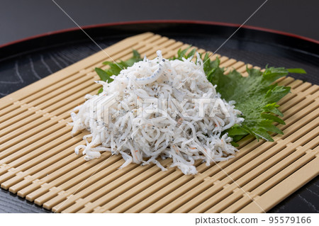 日本白須 95579166