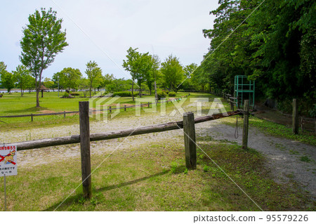 涼池公園 95579226