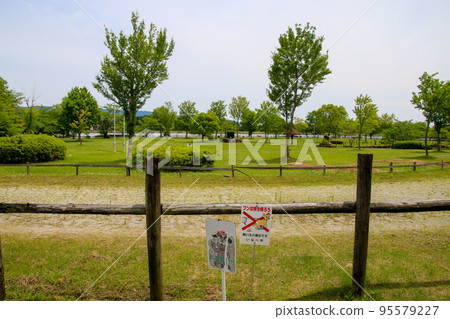 Ryogaike Park 95579227