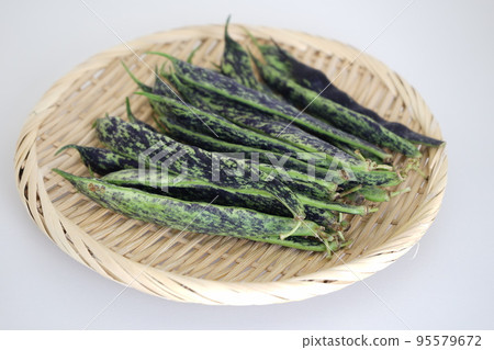 秋島豇豆 秋島豇豆 95579672