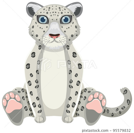 Snow leopard isolated on white background 95579832