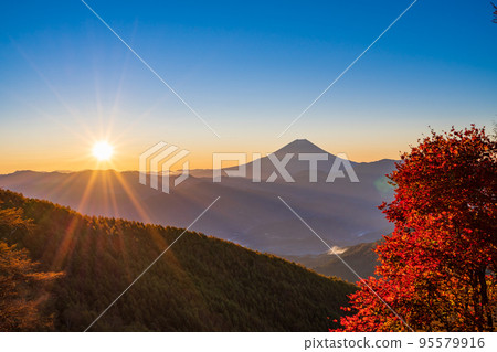 (Yamanashi Prefecture) Mt. Fuji and sunrise seen from Mt. Kushigata with beautiful autumn leaves (Yamanashi Prefecture) Mt. Fuji and sunrise seen from Mt. Kushigata with beautiful autumn leaves 95579916