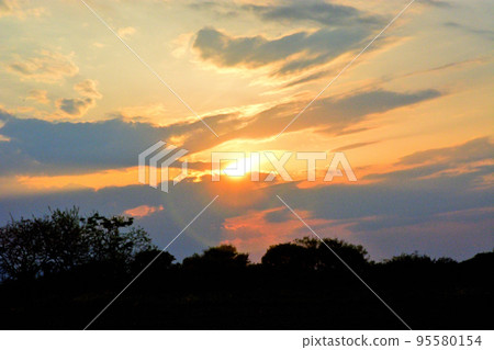 岡川市千福寺前河床的夜景 95580154