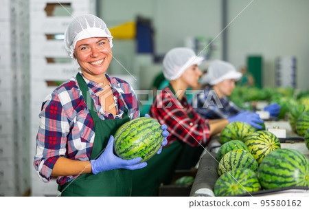 Portrait of positive woman fruit factory worker with watermelon 95580162