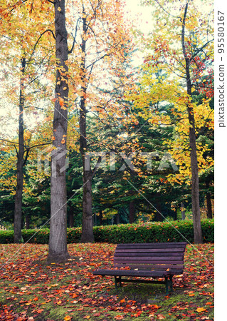 Bench in autumn leaves Bench in autumn leaves 95580167