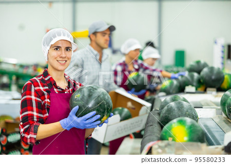 Portrait of positive woman fruit factory worker with watermelon Portrait of positive woman fruit factory worker with watermelon 95580233